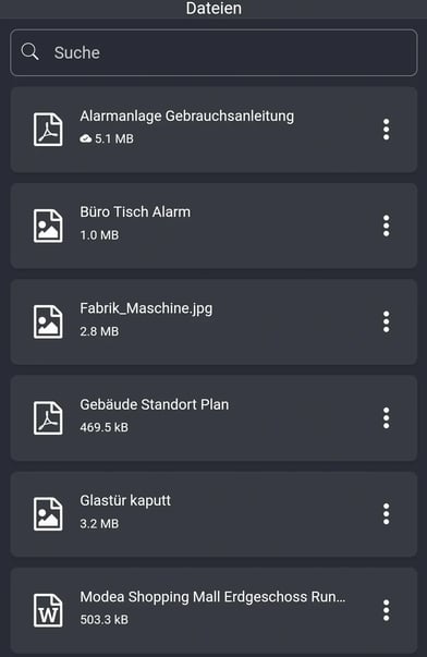 Dateimanager_in_der_App_02_DE