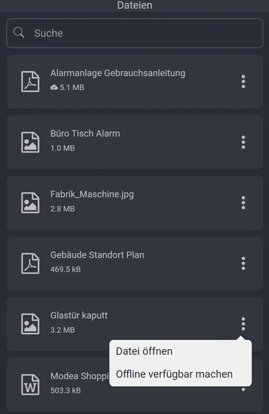 Dateimanager_in_der_App_03_DE